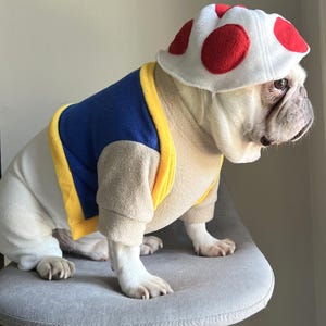 May include: A pet costume consisting of a white, blue, and tan fleece shirt with a yellow trim and a matching white hat featuring red circular spots. The outfit is designed to cover the torso and head, providing a soft, textured appearance.