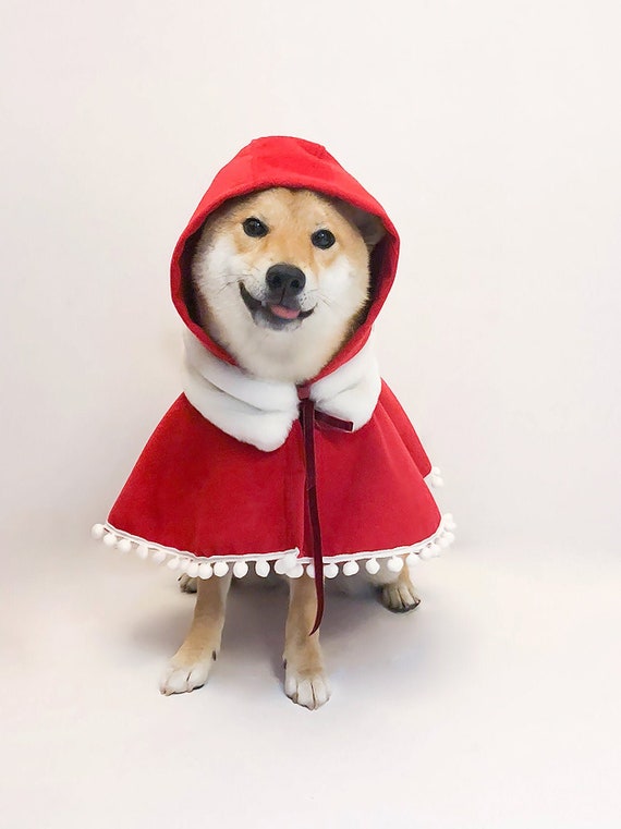 Tailor Made Dog Cat Pet Little Riding Hood Warm Cape - Etsy