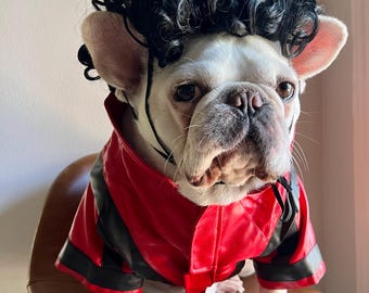 Thriller-Kostüm mit roter MJ-Jacke, Michael-Jackson-inspiriertes Haustier-Outfit, Halloween-Kostüm aus rotem Kunstleder, lustige Hunde- und Katzenkleidung