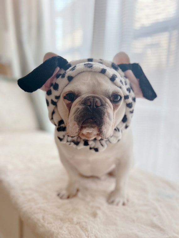 Halloween Costume Dog Cat Pet, Cute Dalmatian Headband, Black and
