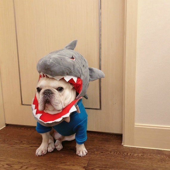 alligator costumes for dogs