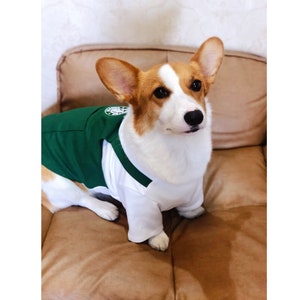 Dog Cat Pet Coffee Cup Cafe Latte Barista Uniform Costume Tee Top with Signature Green Apron image 4