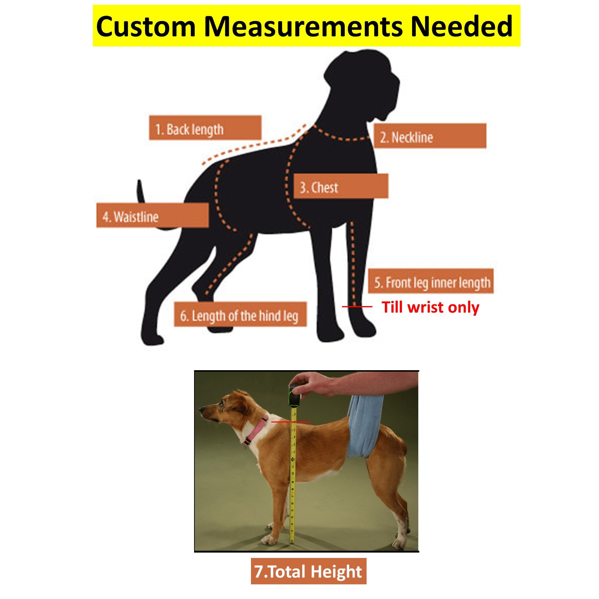 How Do You Measure A Dogs Bust