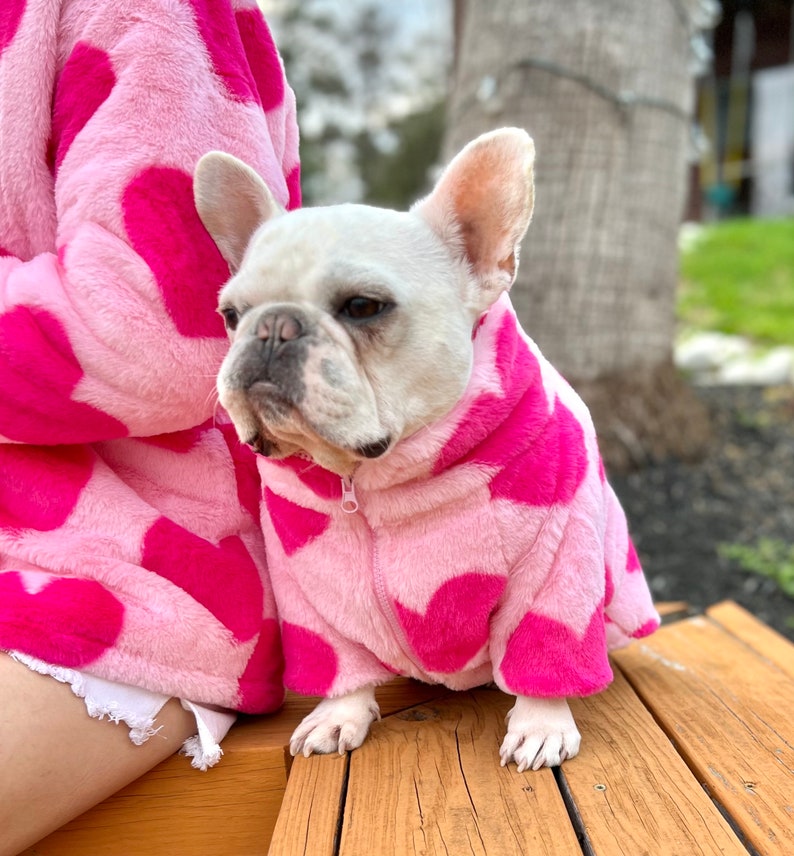Puede incluir: Un bulldog franc&eacute;s blanco con una chaqueta de forro polar rosa con estampado de corazones. La chaqueta tiene una cremallera y est&aacute; hecha de tela suave y afelpada.
