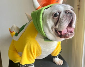 Turtle Dragon Villain Pet Costume, Cats Dogs Halloween Outfit, Small to Large Dog Costume Cosplay