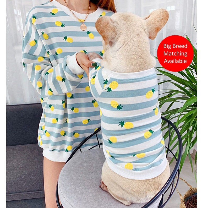 Matching Pet Owner Set for Pets Cat Small Big Dog Parent Piña Ananas Pineapple Print Sweatshirt Sweater Hoodie Mom Dad Twinning Outfit 