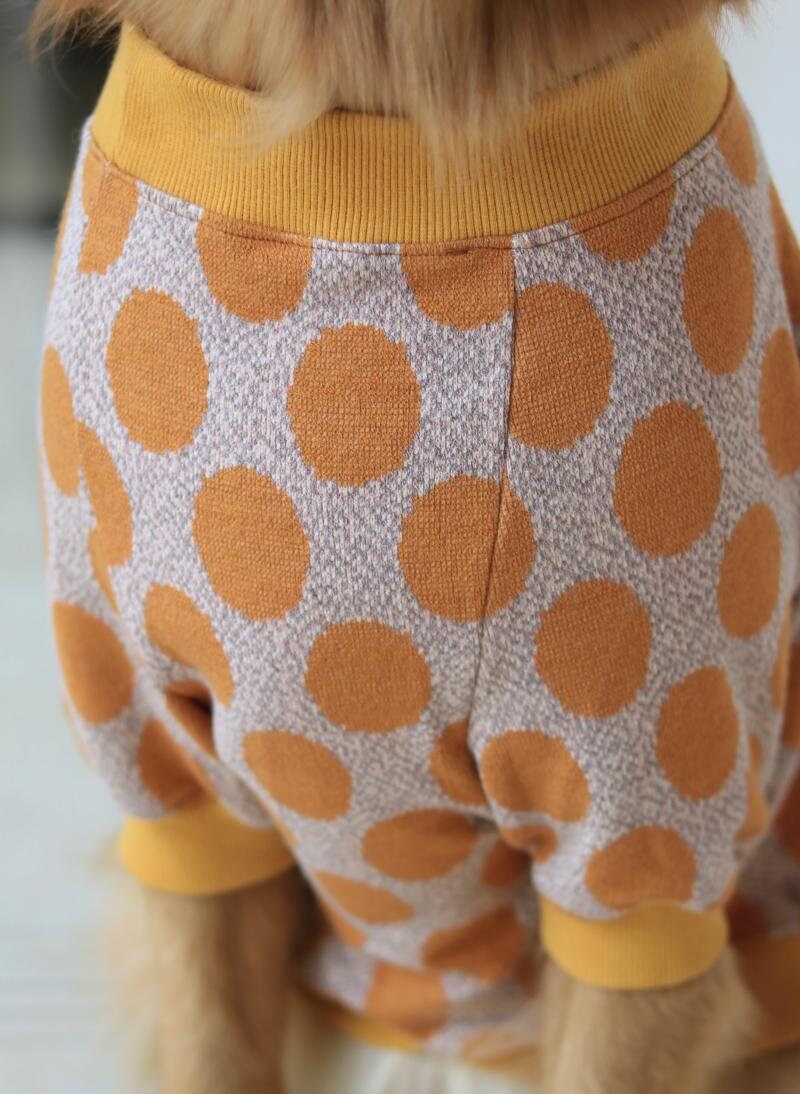 ASENKU Strickpullover Für Große Hunde – Warmer Winterpullover Mit Rollkragen (für Border Collie, Golden Retriever & Mehr)