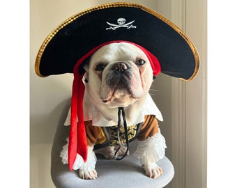 Pirate Dog Cat Pet Halloween Costume, Renaissance Festival Cosplay and Ruffle, Caribbean Pirates Hat and Suit