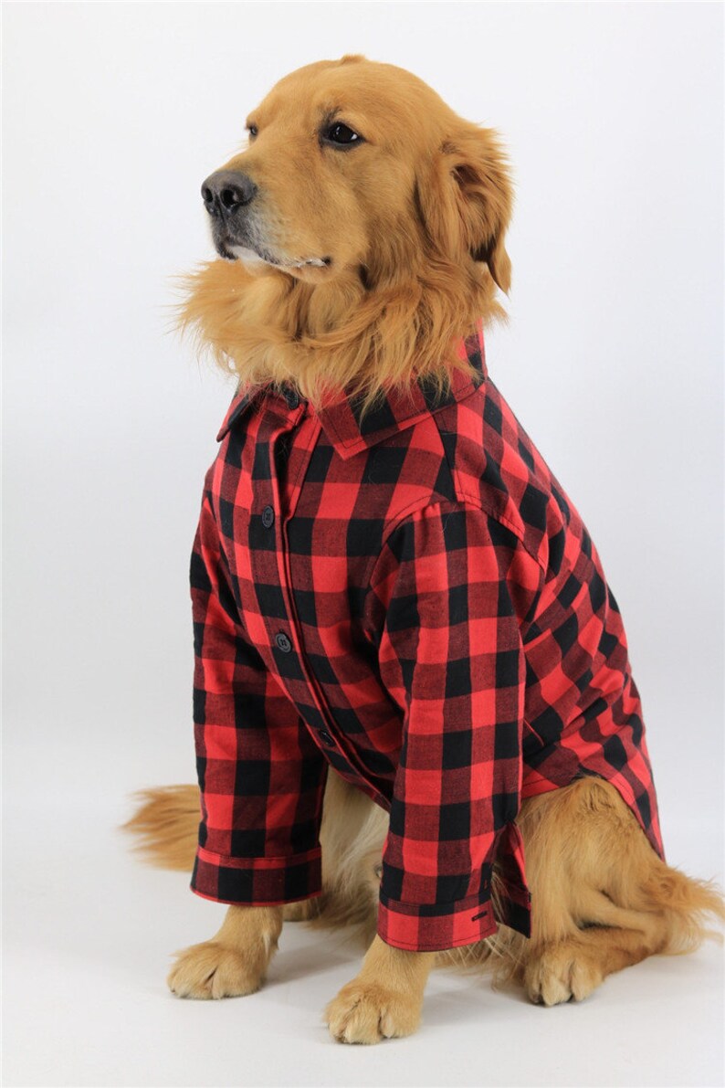 us polo electric jacket