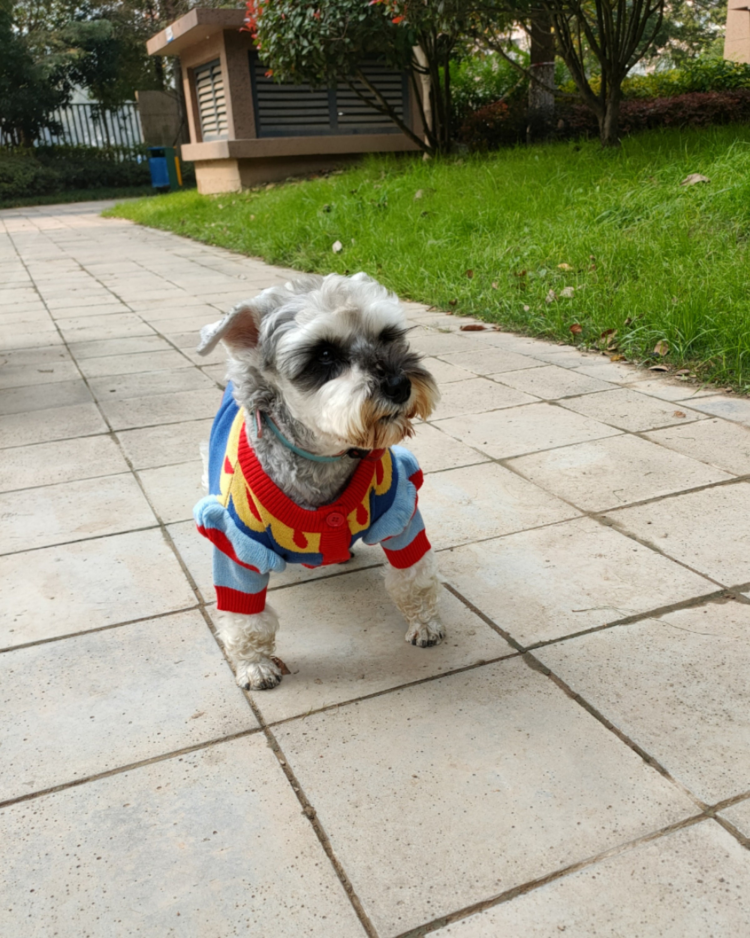 Dog Cat Pet Princess Color Block Cardigan Sweater Sweatshirt Etsy UK