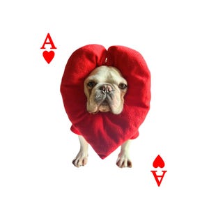 Déguisement de poker carte as de coeur chien chat, jeu de cartes soldats cosplay déguisement d'halloween avec pièce de tête