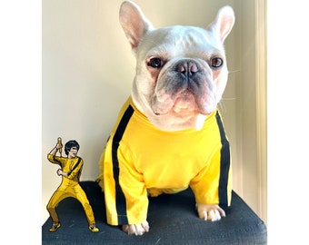 Kung-Fu-Kostüm im asiatischen Stil Cosplay Bodysuit, Spiel des Todes Anzug