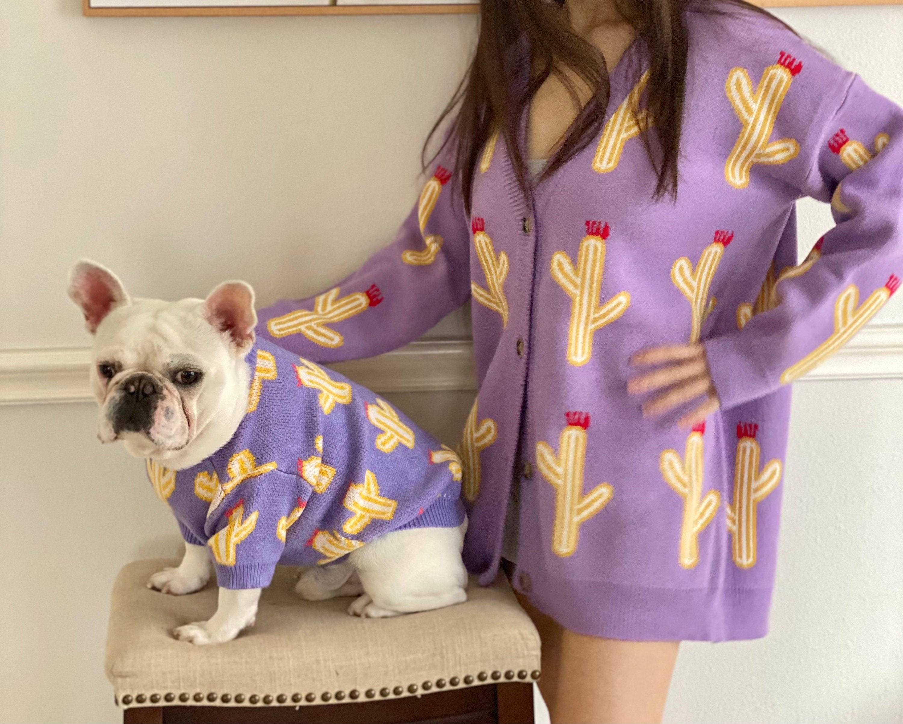 Assortiment Pet Owner Set Pour Animaux de Compagnie Chat Chien Parent Cactus Print Sweatshirt Sweat 