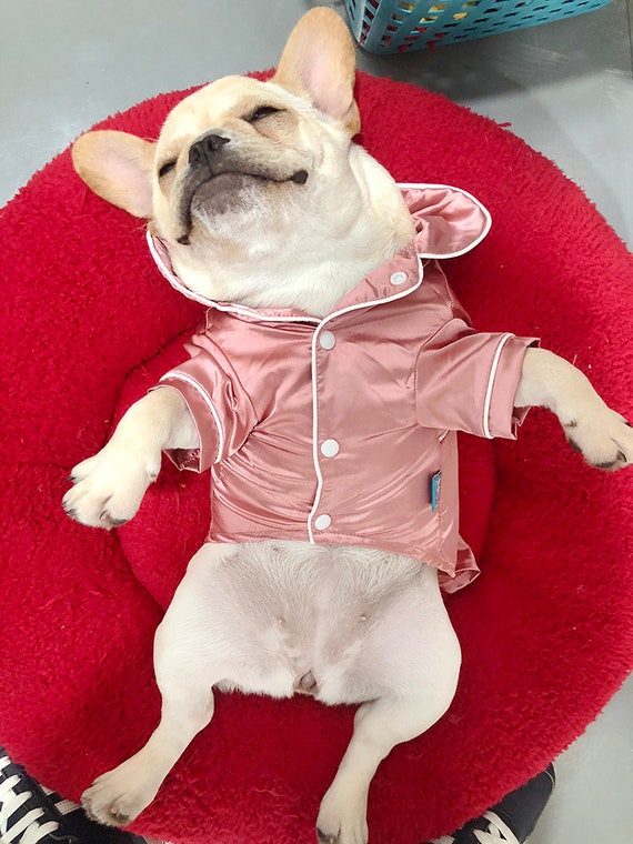 dog silk pajamas