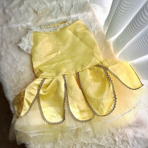 May include: A yellow satin dress with a lace bodice and a tulle skirt. The dress has a scalloped hemline and gold trim.
