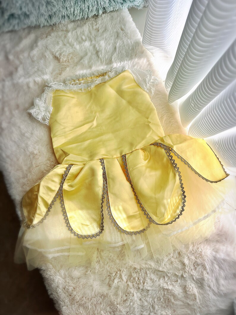 May include: A yellow satin dress with a lace bodice and a tulle skirt. The dress has a scalloped hemline and gold trim.