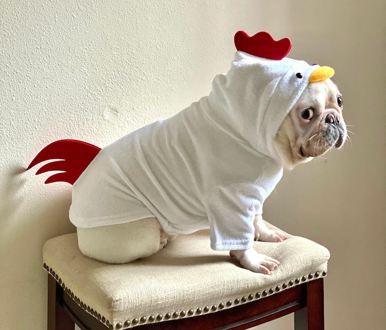 Dog Cat Pet Puppy Rooster Chicken Hen 3D Tail and Comb Hooded Costume Pullover Sweatshirt Hoodie Sweater image 1