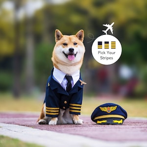 Custom Made Dog Cat Pet Pilot Captain Aviator Uniform Blazer Coat and Cap with Golden Badge Wings Costume Theme