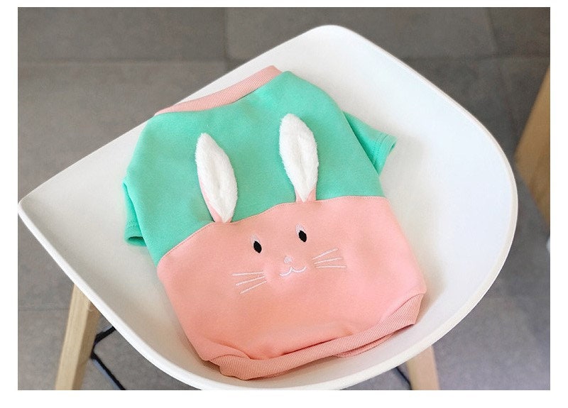 Dog Cat Little Bunny Rabbit 3D Ears Sweatshirt Sweater Design | Etsy