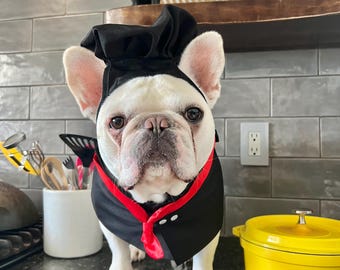 Halloween Thanksgiving Chef Dog Cat Pet Costume Bandana, Kitchen Helper Assistant Costume, Embroidery Available