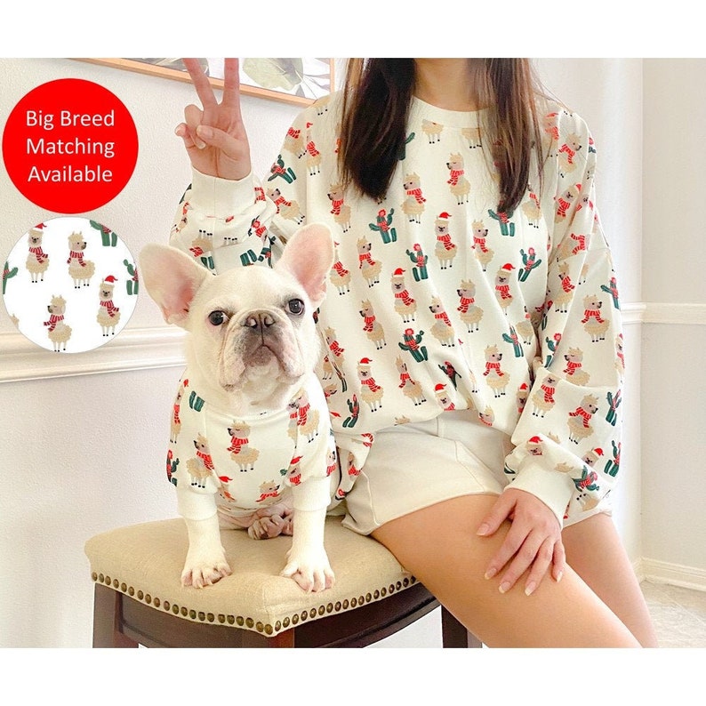 Handmade Pet and Owner Family Christmas Matching Sweater, Llama in Desert, Tailor-Made Sweater and Pants for Cat Dog Parent Toddler Kids image 1