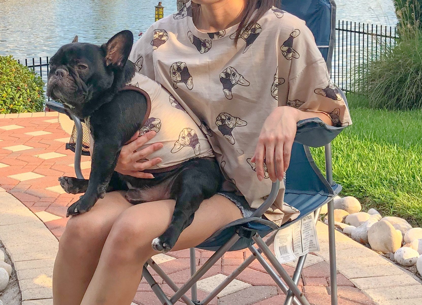 Matching Pet Owner Set Pets Cat Dog Parent, Léger Frenchie Print Clothing Tee & Tank, Fits Français 