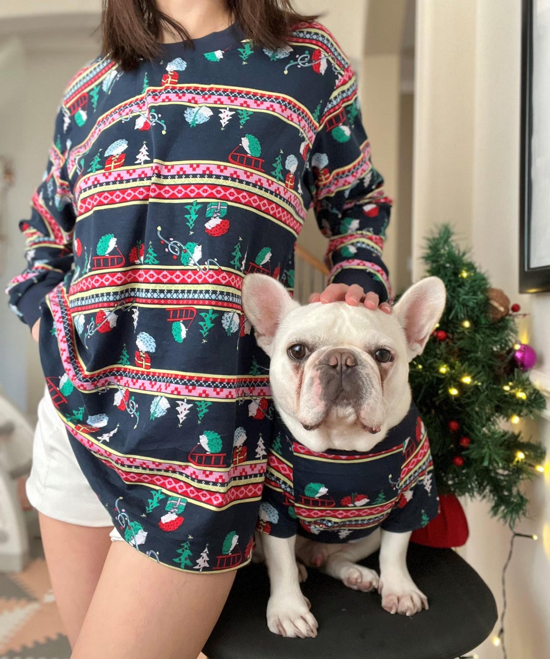 Handmade Pet and Owner Christmas Family Matching Sweaters Sweatshirt