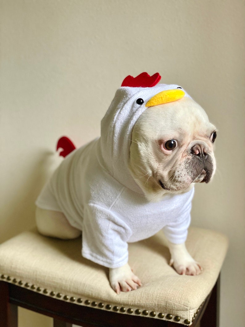 Dog Cat Pet Puppy Rooster Chicken Hen 3D Tail and Comb Hooded Costume Pullover Sweatshirt Hoodie Sweater image 5