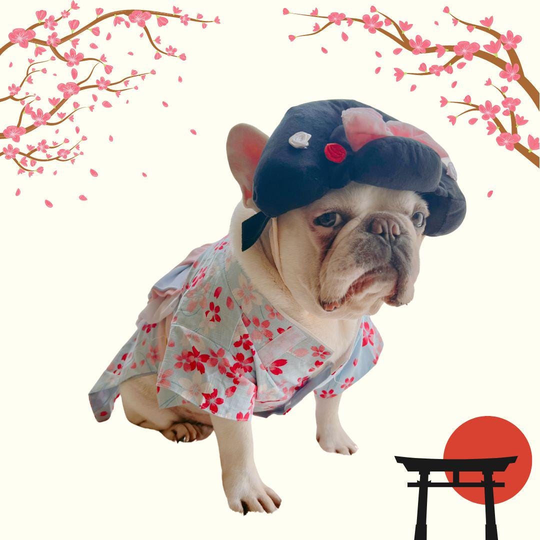 Creation Core Brokat-Pet-Kimono Für Hunde/Katzen – Japanischer Stil, Mit Blumen-Schleife, Pink, Größe S