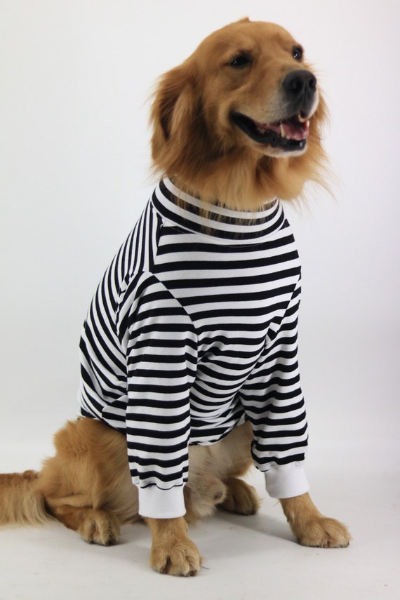 hipster dog clothes