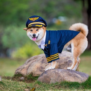 Custom Made Dog Cat Pet Pilot Captain Aviator Uniform Blazer Coat and Cap with Golden Badge Wings Costume Theme image 3