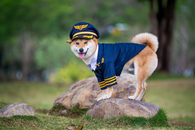 Custom Made Dog Cat Pet Pilot Captain Aviator Uniform Blazer Coat and Cap with Golden Badge Wings Costume Theme image 3