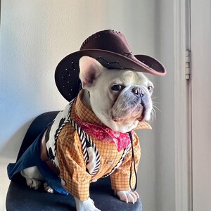May include: A white French Bulldog wearing a brown cowboy hat, a yellow and brown plaid shirt, a black and white cow-print vest, a red bandana with a white pattern, and blue fabric pants. The costume features a small black string chin strap.