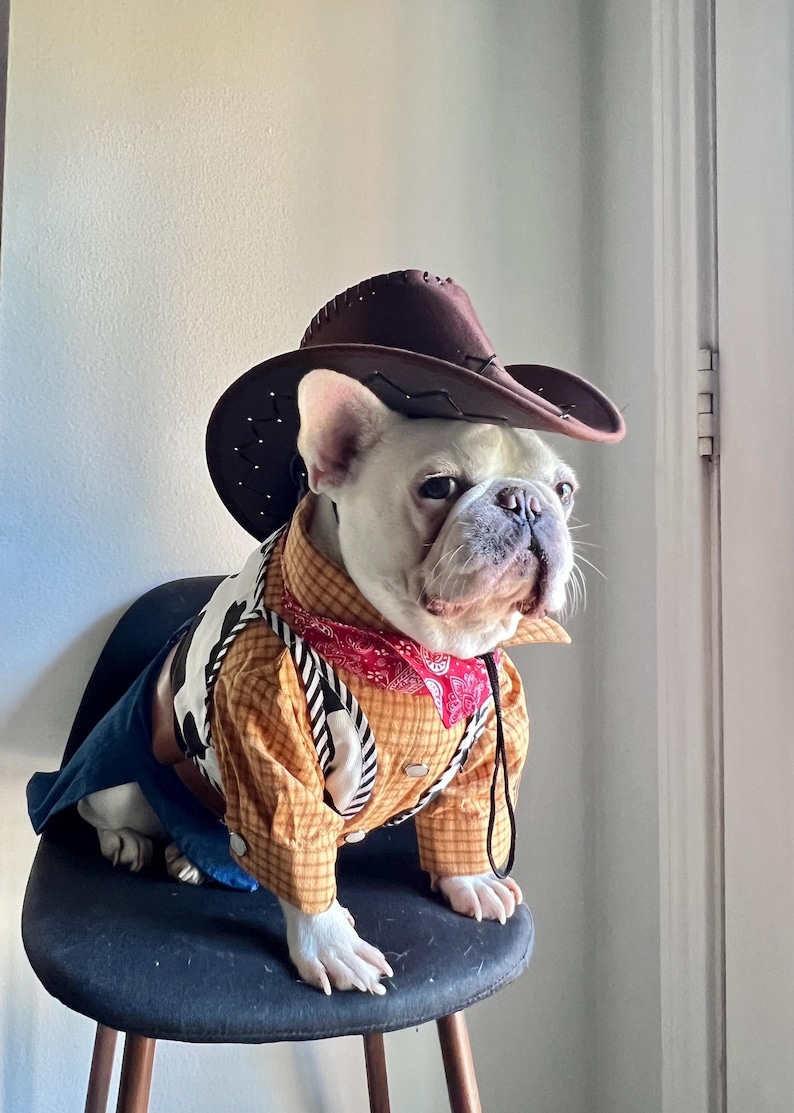May include: A white French Bulldog wearing a brown cowboy hat, a yellow and brown plaid shirt, a black and white cow-print vest, a red bandana with a white pattern, and blue fabric pants. The costume features a small black string chin strap.