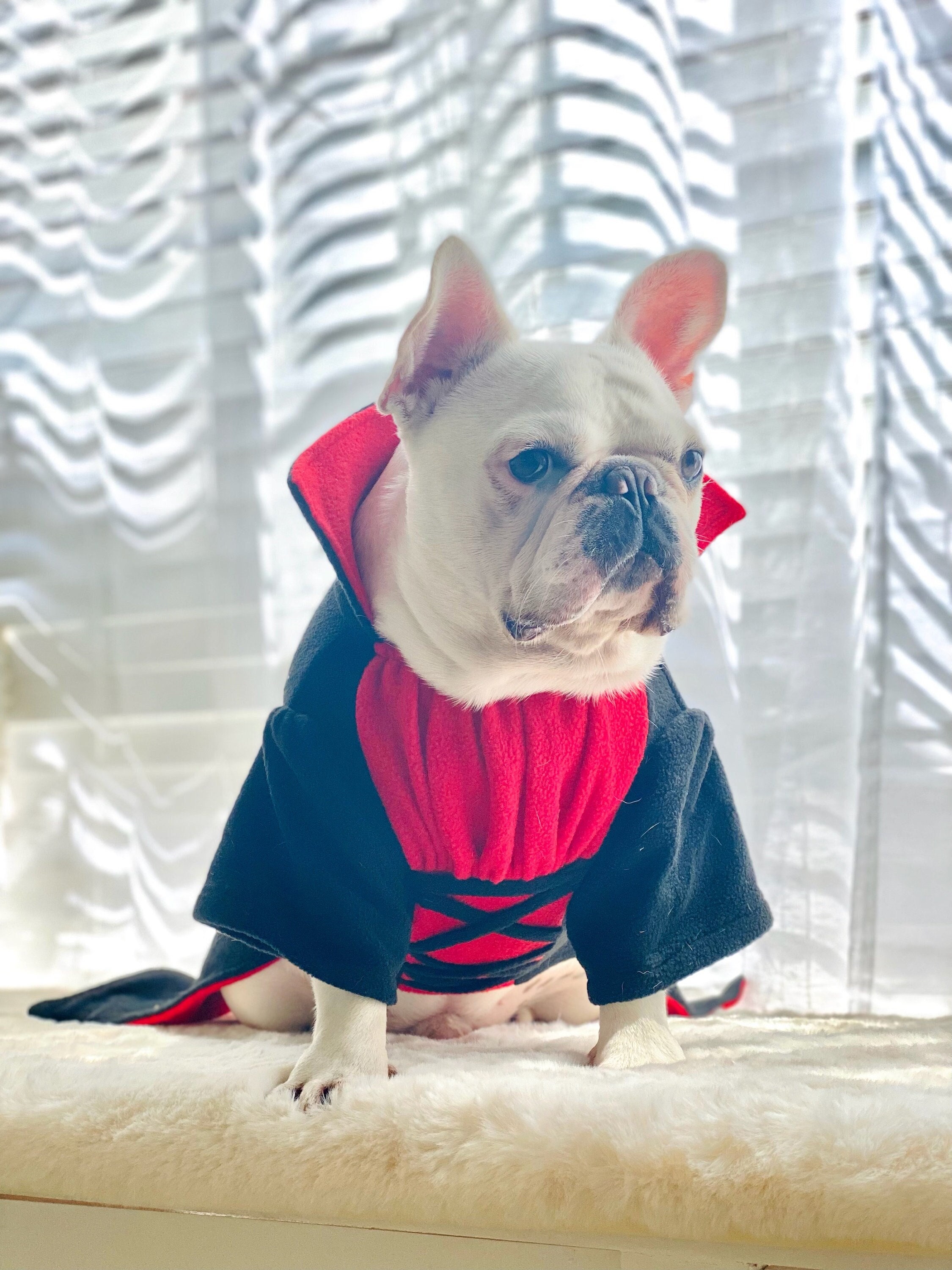 Puppy vampire costume hotsell