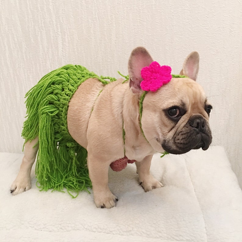 Dog Cat Pet Aloha Hawaii Bikini Beach Summer Vibe Luau Theme Party Hula Skirt Coconut Bra Costume image 1