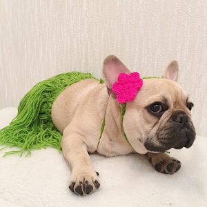 Dog Cat Pet Aloha Hawaii Bikini Beach Summer Vibe Luau Theme Party Hula Skirt Coconut Bra Costume image 8