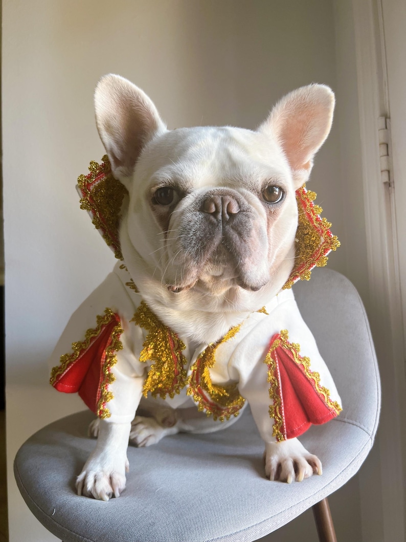 Elvis Presley Pet Cat Dog Halloween Costume, the King of Pop, 1970