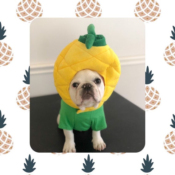Halloween Pineapple Fruit Farm Hawaii Theme Costume for Pet Dog Cat Human Ideal for Photo Props and Just for Laugh Etsy Canada