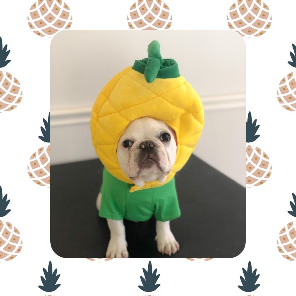 Hawaii-Kostüm Für Hunde – 3-teiliges Set Mit T-Shirt, Sonnenbrille & Blumenkranz (grün), Für Kleine & Mittlere Haustiere