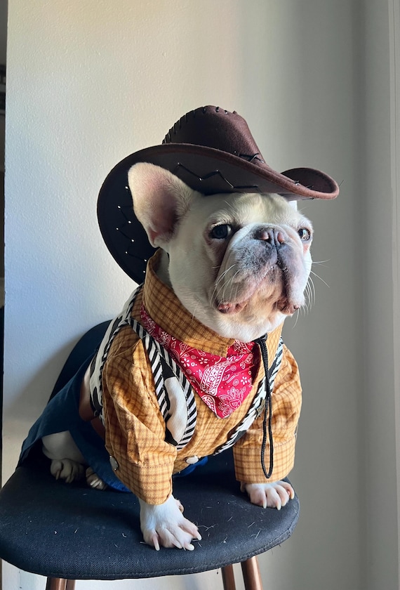 Cowboy Dog Costume with Hat, Western Pet Halloween Outfit, Rodeo Apparel for Cats, Small Medium Large Breeds, Ranch Party Photo Prop