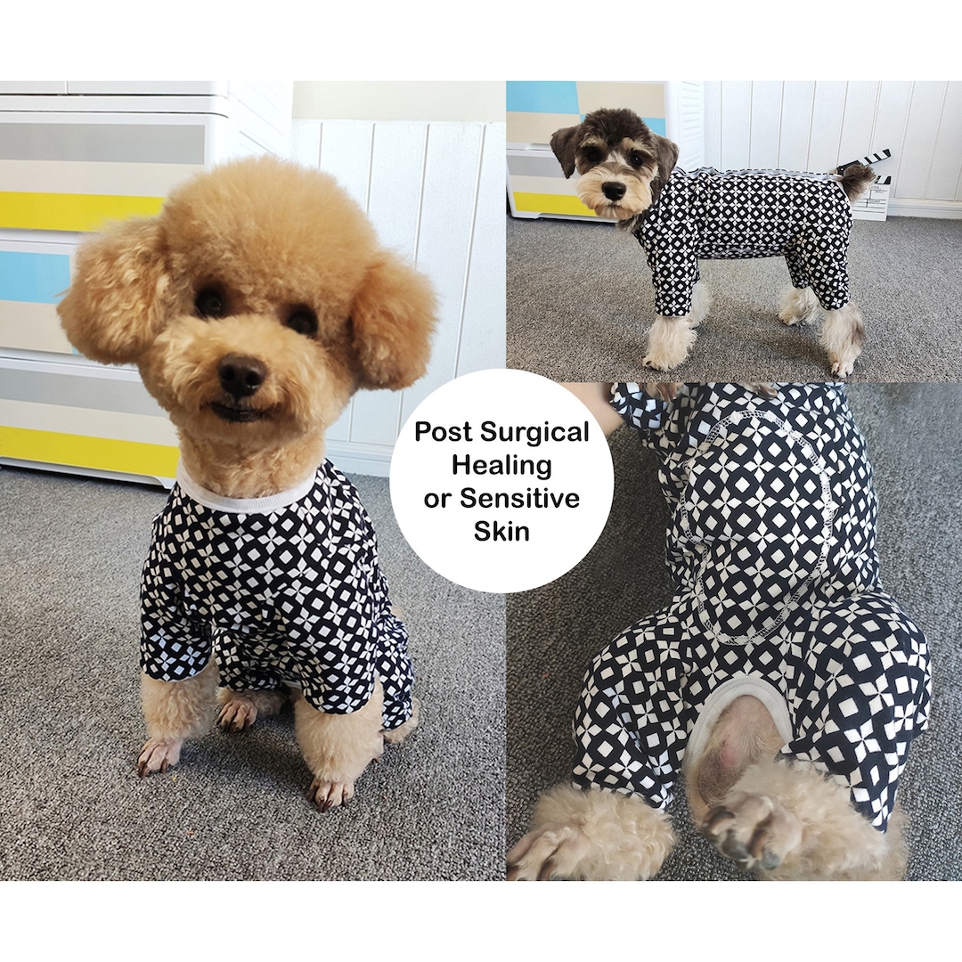 Postsurgical Spayed Neutered Dog and Cat With Sensitive Skin, Cotton 4