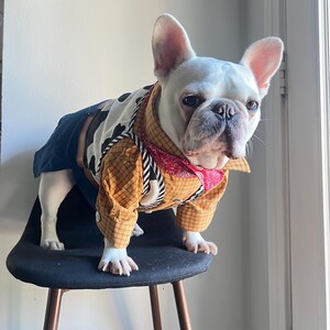 May include: A white French Bulldog wearing a cowboy-themed costume consisting of a yellow plaid long-sleeve shirt, a black and white cow-print vest, a red bandana around the neck, and dark blue pants, standing upright on a black stool.