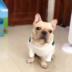 Dog Cat Pet Coffee Cup Cafe Latte Barista Uniform Costume Tee Top with Signature Green Apron image 2