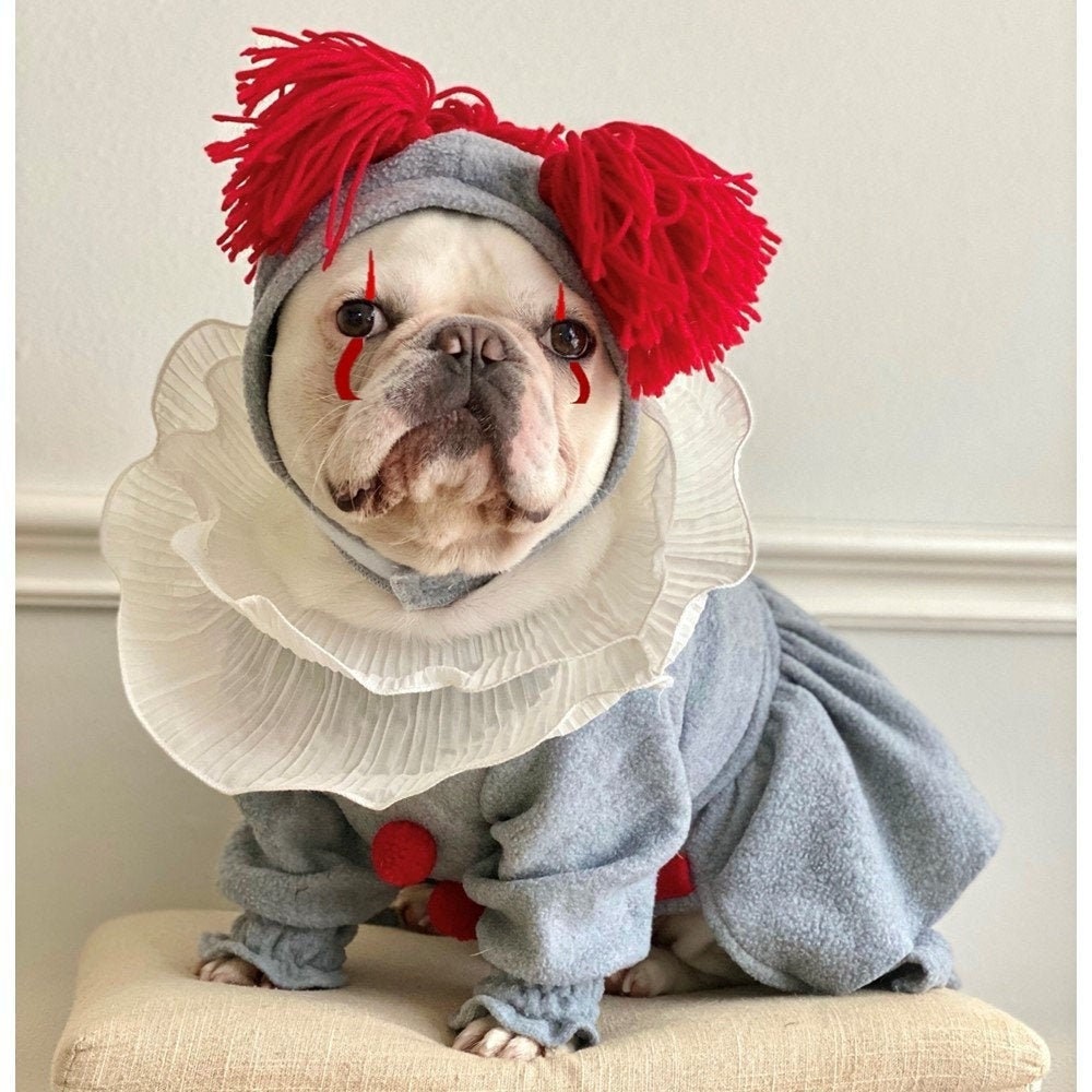 A pie Agente de mudanzas calificación Halloween It Dancing Clown Dog Cat Pet Costume Pennywise - Etsy A pie Agente de mudanzas calificación Halloween It Dancing Clown Dog Cat Pet Costume Pennywise - Etsy