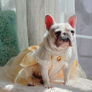 May include: A white French bulldog wearing a yellow and white princess costume with a tulle skirt and lace trim. The dog is sitting on a white fluffy surface.