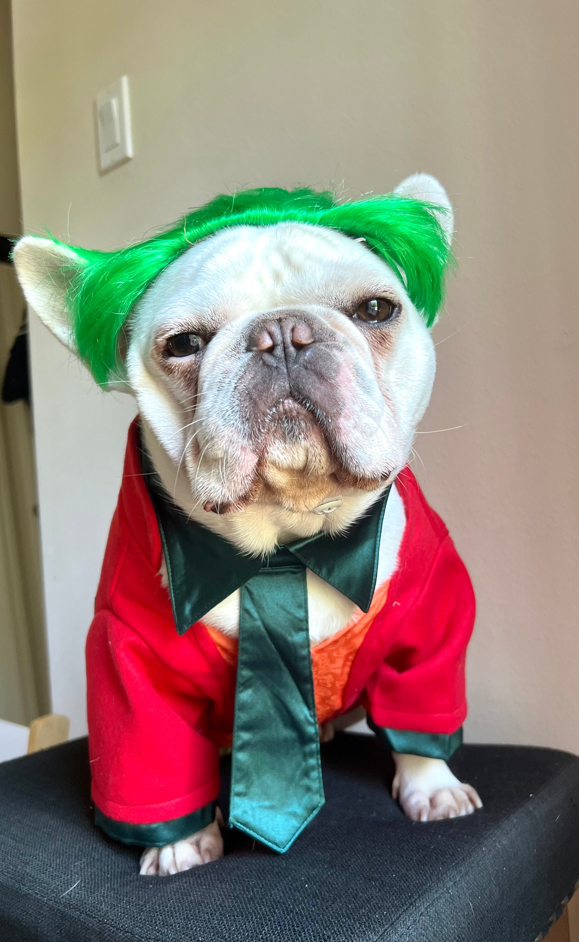 Joker Costume, Red Green Funky Color Block Blazer Coat Vest, Dog