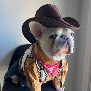 May include: A French Bulldog wearing a brown felt cowboy hat, a tan plaid long-sleeve shirt, a white vest with black cow-print spots, a red paisley bandana, and blue fabric pants. The dog has white fur and is looking toward the right side.