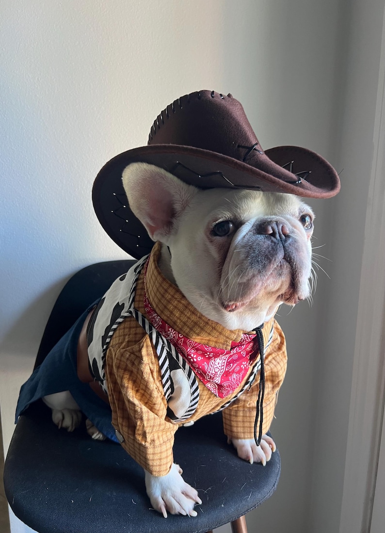 May include: A French Bulldog wearing a brown felt cowboy hat, a tan plaid long-sleeve shirt, a white vest with black cow-print spots, a red paisley bandana, and blue fabric pants. The dog has white fur and is looking toward the right side.