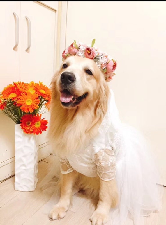 slim fit dress slacks Tuxedo With Rose Wedding Dog Bandana by Dog Fashion Living main image 0